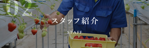 スタッフ紹介 STAFF