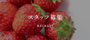 スタッフ募集 RECRUIT