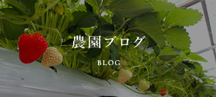 農園ブログ BLOG